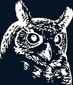 Тема 'Night-Owl'